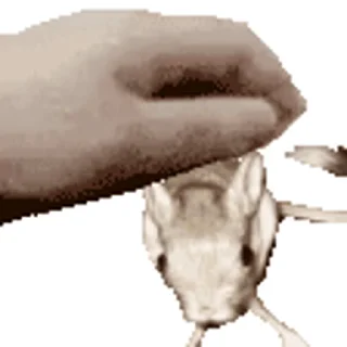 Sticker from HatchBosksSiri