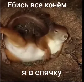 😴 emoji Всякая хрень от @EspressoPatronuum Telegram sticker 23 of 115