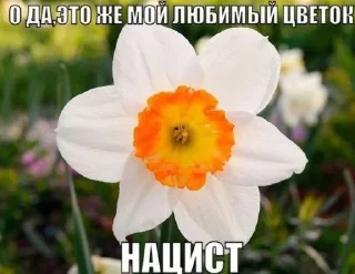 🏵️ emoji от лу 🪱 || бамхю Telegram sticker 12 of 83