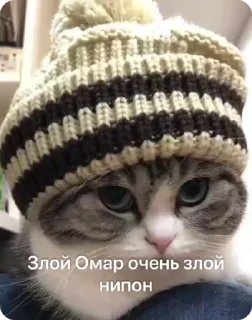 🤬 emoji Омар чурка Telegram sticker 18 of 39