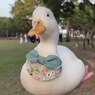 🌟 emoji ⇢ 𝘿𝙪𝙘𝙠𝙨 | @AquaStickers @DuckLoving 💎 Telegram sticker 12 of 46