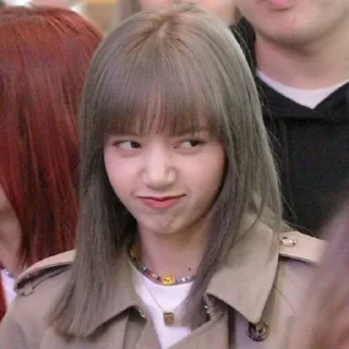 Sticker from ♱ʟɪsᴀ࿇@Blackpink_stickerr4 ✟