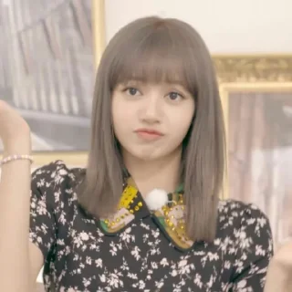 🥂 emoji ༊ʟɪsᴀꫂ̽ @Blackpink_stickerr4 ༄ Telegram sticker 8 of 65