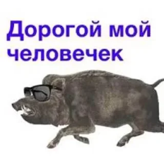 🌟 emoji кабан из потуси Telegram sticker 15 of 18