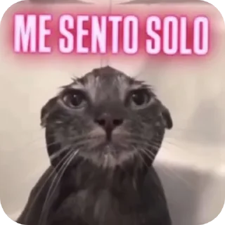 🐱 emoji Coccolino Vudù - mi piaci tu Telegram sticker 16 of 52