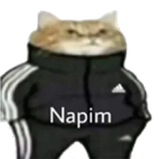 😏 emoji E r r ø R Telegram sticker 11 of 51