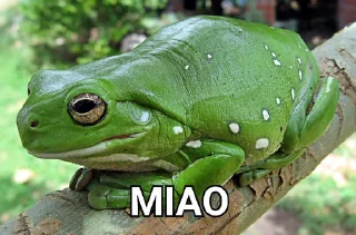🐸 emoji solo combo col gigante Telegram sticker 9 of 61