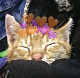 🥰 emoji Это котики? Telegram sticker 24 of 80