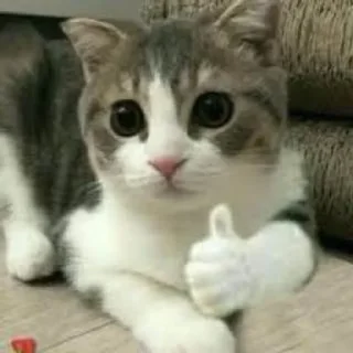👍 emoji Звёздочка Telegram sticker 8 of 12