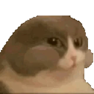 🥱 emoji Cats_°rami° Telegram sticker 7 of 42