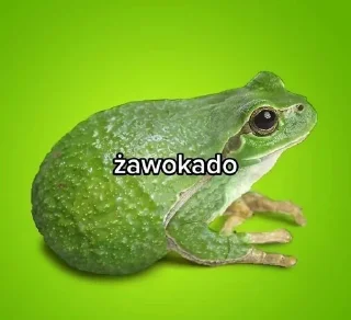 🌟 emoji Żaba Telegram sticker 15 of 75