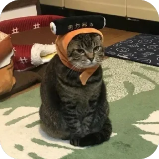 🫥 emoji Пиздос Telegram sticker 20 of 46