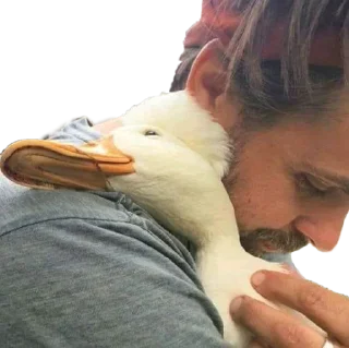 🥰 emoji Duck Telegram sticker 8 of 23