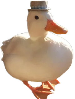 🥳 emoji Duck Telegram sticker 6 of 23
