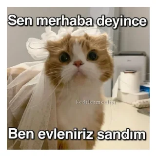 🙈 emoji Bıyıklımm🙈 Telegram sticker 5 of 14