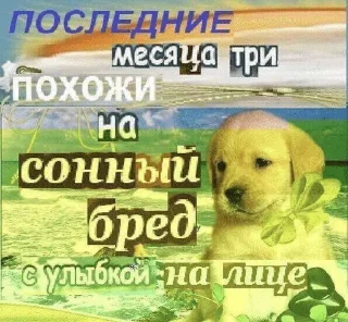 🌟 emoji Для диалогов. Telegram sticker 13 of 120