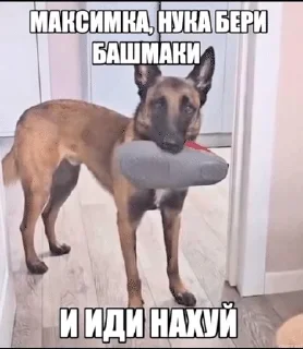 🌟 emoji //їм сирники Telegram sticker 16 of 117