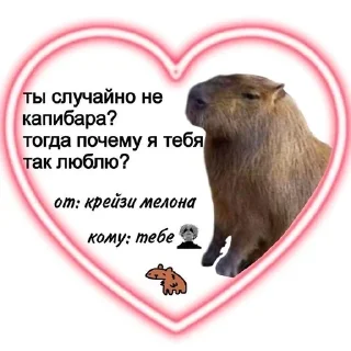 🌟 emoji Капибары :: @IbremMiner837 Telegram sticker 22 of 26