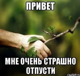 🌟 emoji Здравствуйте, до свидания Telegram sticker 16 of 106