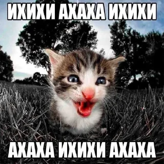 😄 emoji хихи Telegram sticker 17 of 83