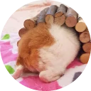 🍑 emoji Fat Cuy Telegram sticker 24 of 120