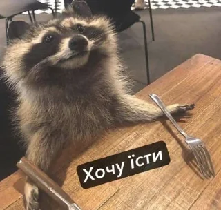🍴 emoji Raccoons Telegram sticker 11 of 69