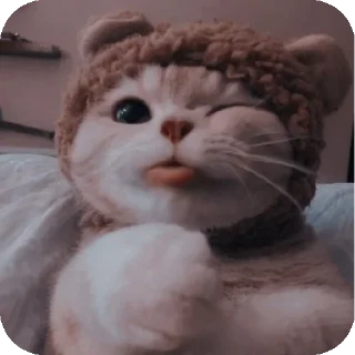 👍 emoji @Mirzya ki billi Telegram sticker 20 of 52