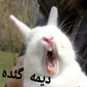 😡 emoji 🐰دوشان🐰 Telegram sticker 14 of 52