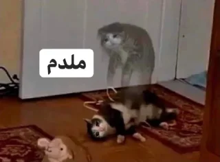 😿 emoji مشک و پنیر Telegram sticker 6 of 120