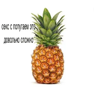 Sticker from ананасікі йопта