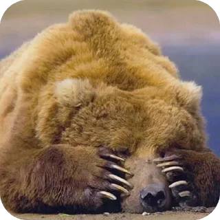 😖 emoji Silly silly bears Telegram sticker 12 of 120