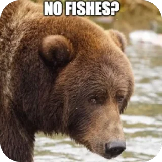 🐟 emoji Silly silly bears Telegram sticker 23 of 120