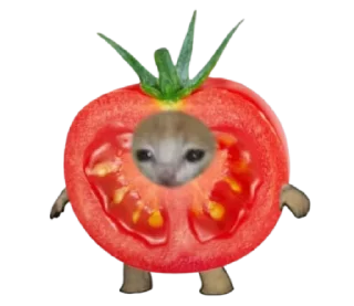 🐈 emoji ㅤㅤcursed cat lol :3ㅤㅤ @qill3o Telegram sticker 7 of 30