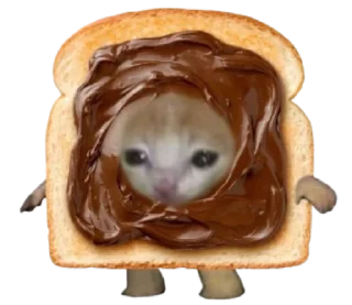🐈 emoji ㅤㅤcursed cat lol :3ㅤㅤ @qill3o Telegram sticker 19 of 30