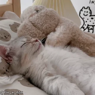 😴 emoji Didi reaction Telegram sticker 19 of 63