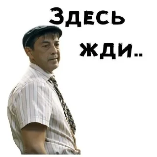 🫡 emoji Сваты Telegram sticker 6 of 16