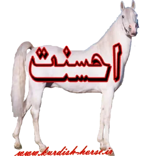 Sticker from Kurdish horse