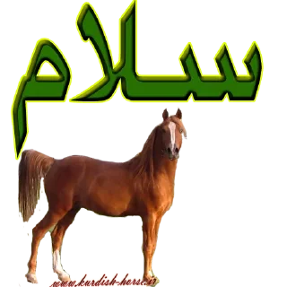 Sticker from Kurdish horse
