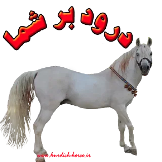 Sticker from Kurdish horse