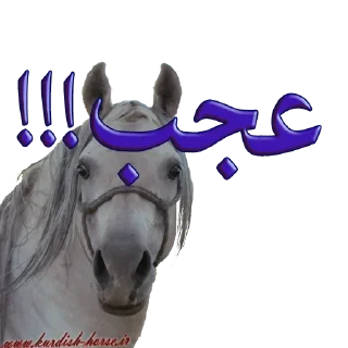 😳 emoji Kurdish horse Telegram sticker 6 of 45
