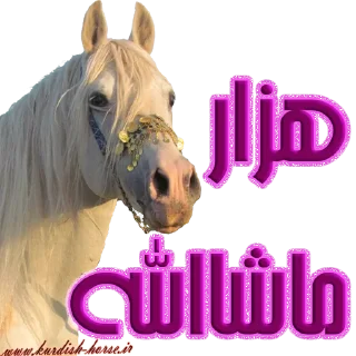😍 emoji Kurdish horse Telegram sticker 21 of 45