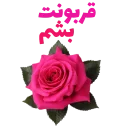 🌸 emoji Ya Mahdi Adrekni 💚 Telegram sticker 11 of 120