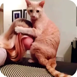 🐱 emoji Автор натурал Telegram sticker 8 of 51