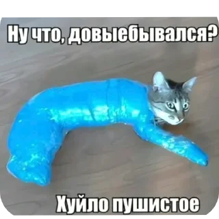 🐱 emoji Автор натурал Telegram sticker 9 of 51