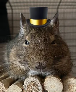 🎩 emoji финн🤝🏿 Telegram sticker 12 of 14