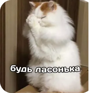 🖼 emoji Абібас Telegram sticker 8 of 21