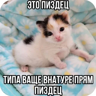 🫥 emoji goyda Telegram sticker 22 of 80