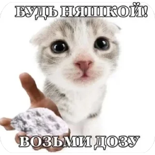 🫥 emoji goyda Telegram sticker 9 of 80