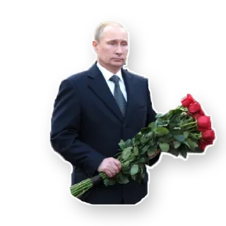 🌺 emoji Putin (@T3SL4) Telegram sticker 13 of 20