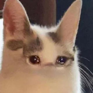 😭 emoji Обблевыши Telegram sticker 10 of 24